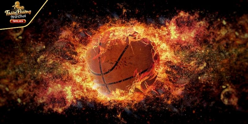 Cá cược bóng rổ và bóng chuyền