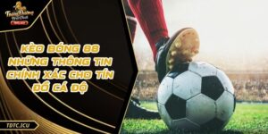 Kèo Bóng 88 Những Thông Tin Chính Xác Cho Tín Đồ Cá Độ