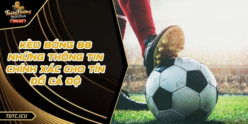 Kèo Bóng 88 Những Thông Tin Chính Xác Cho Tín Đồ Cá Độ 1 Kèo Bóng 88 Những Thông Tin Chính Xác Cho Tín Đồ Cá Độ