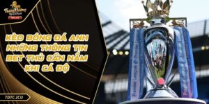 Kèo Bóng Đá Anh Những Thông Tin Bet Thủ Cần Nắm Khi Cá Độ