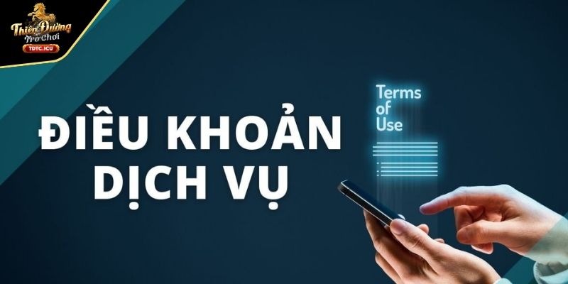 Vai trò then chốt của điều khoản sử dụng